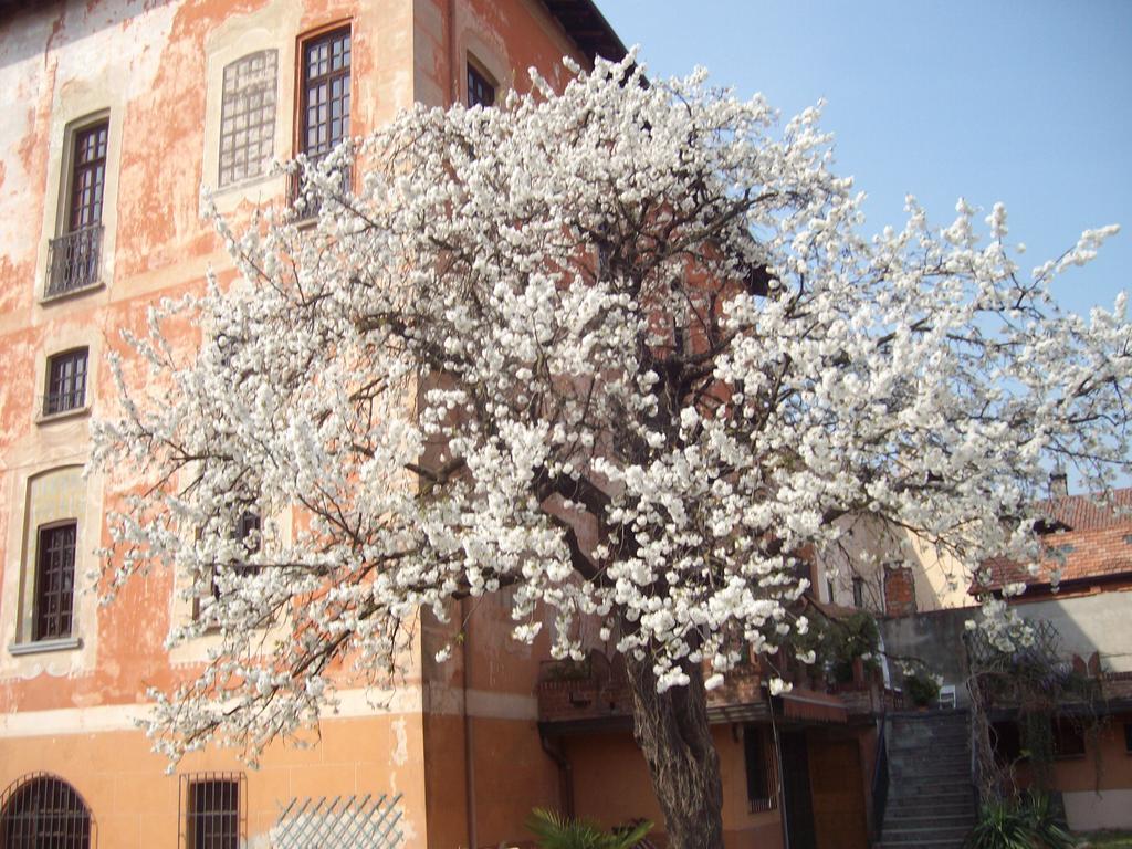 Il Castello Delle Meraviglie Fontaneto d'Agogna Εξωτερικό φωτογραφία